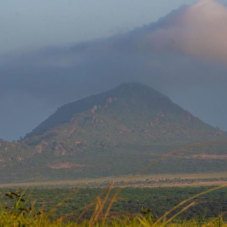 Voi Safari Lodge Экстерьер фото