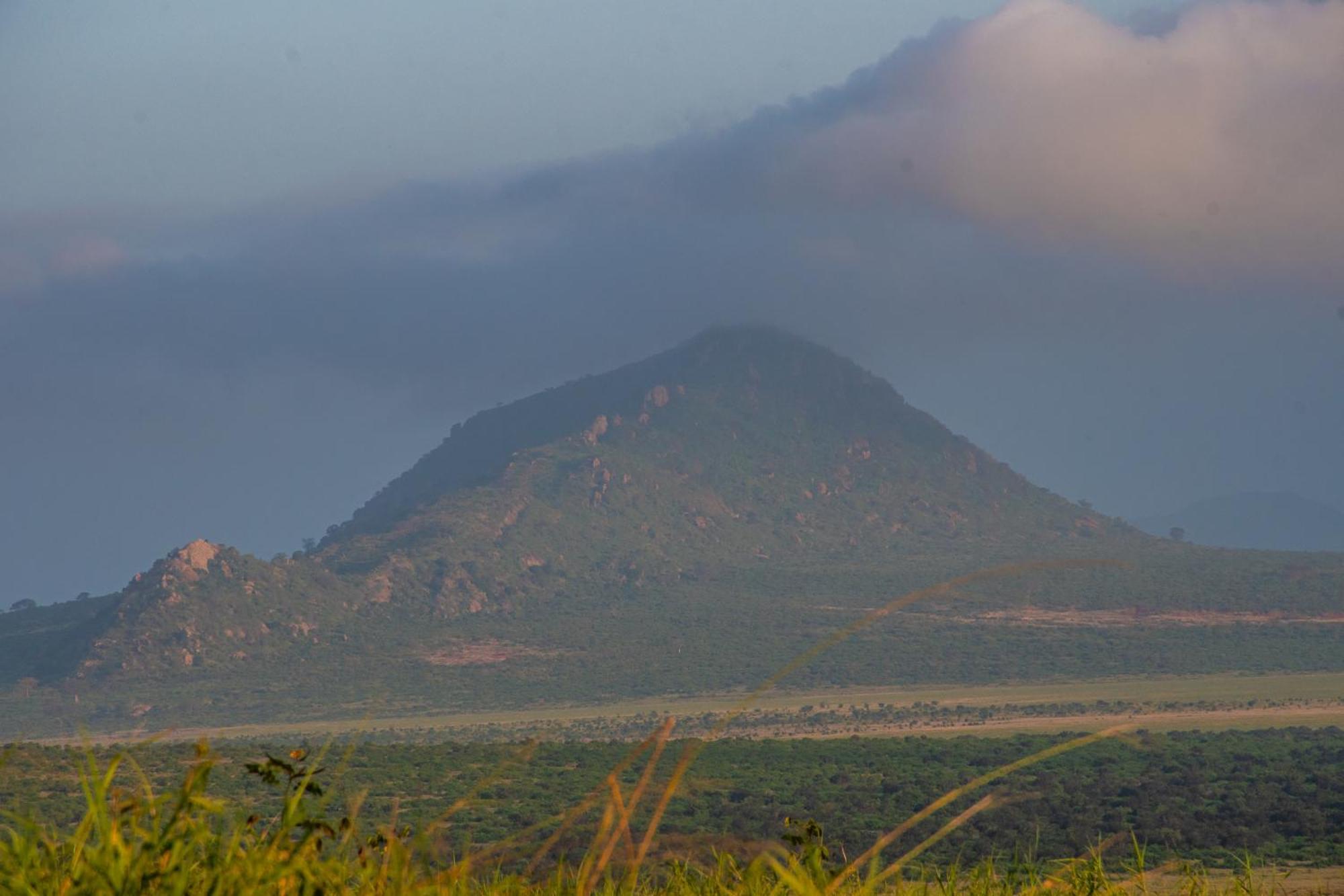 Voi Safari Lodge Экстерьер фото