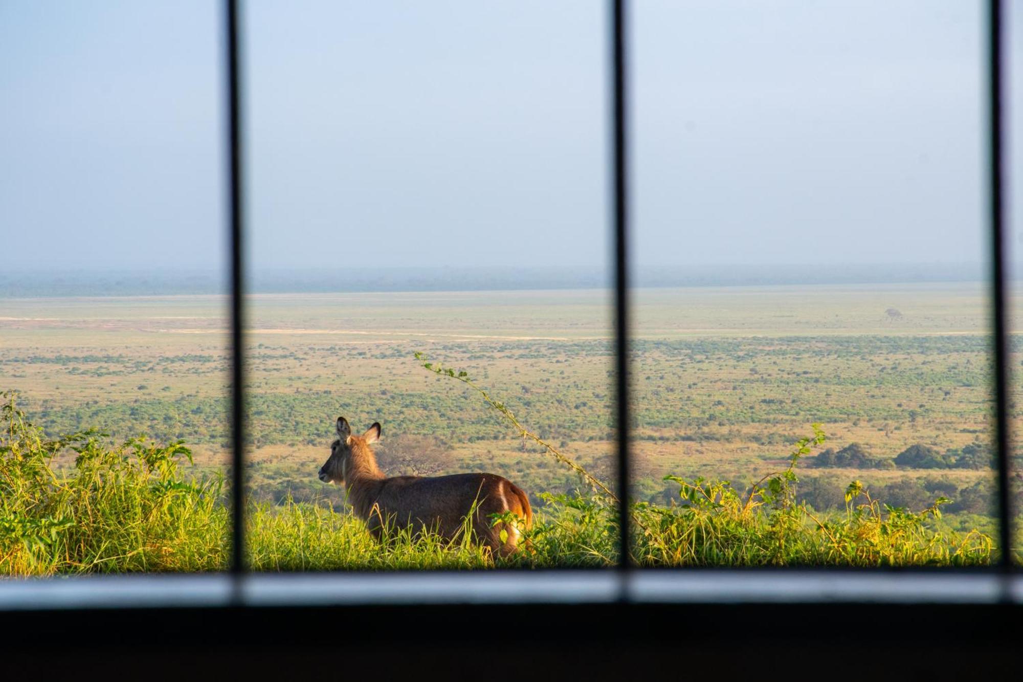 Voi Safari Lodge Экстерьер фото