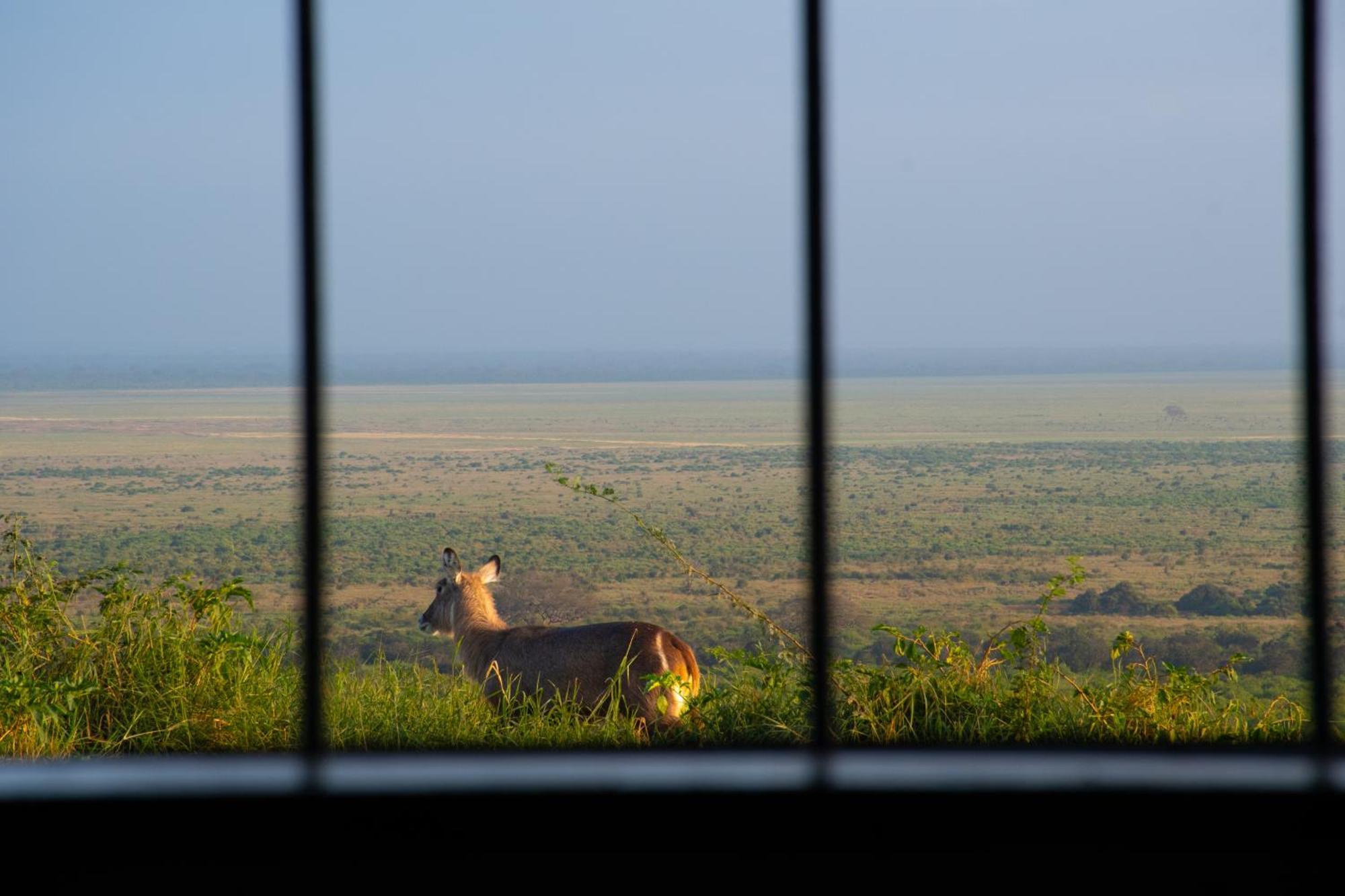 Voi Safari Lodge Экстерьер фото