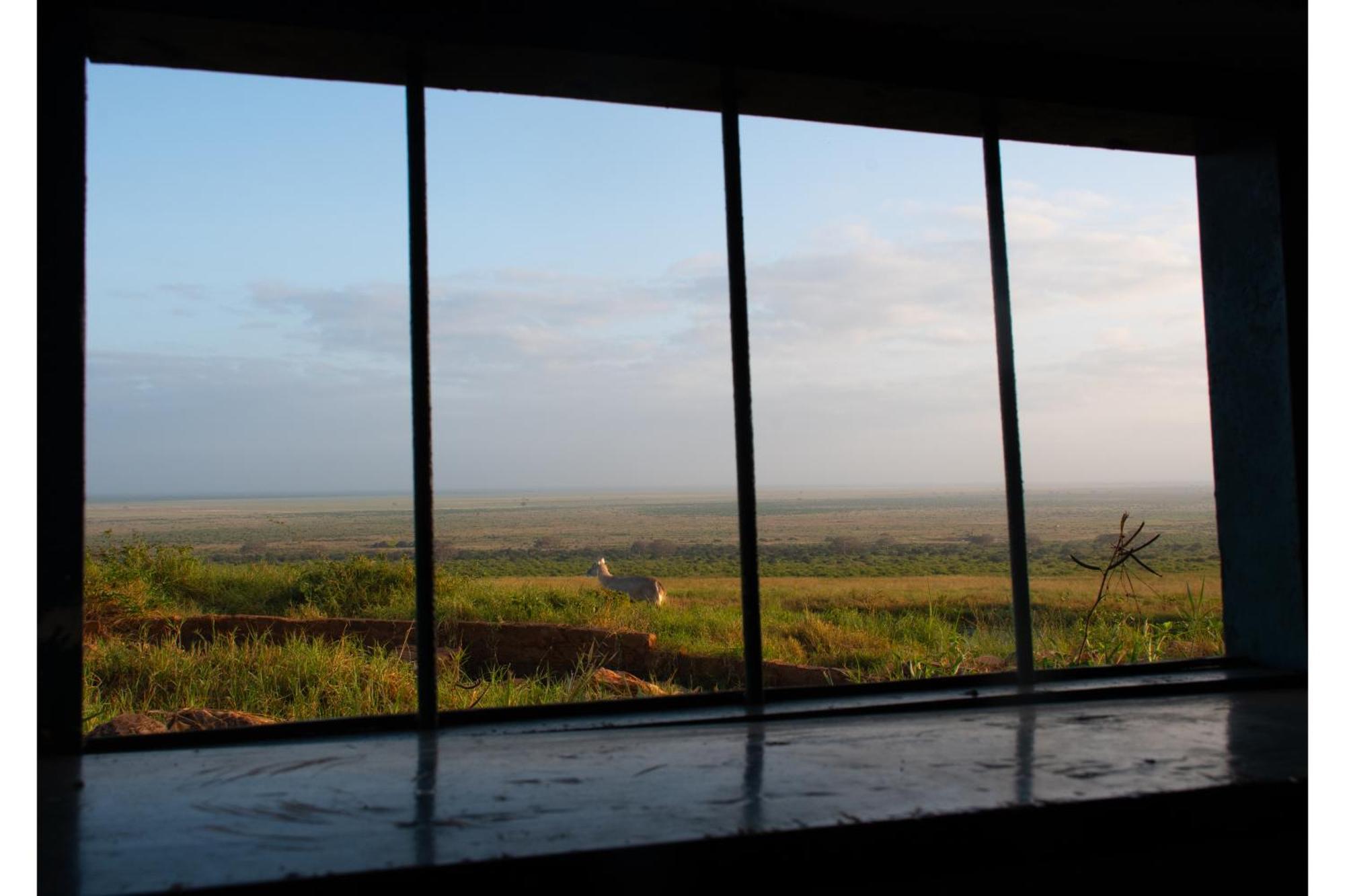 Voi Safari Lodge Экстерьер фото